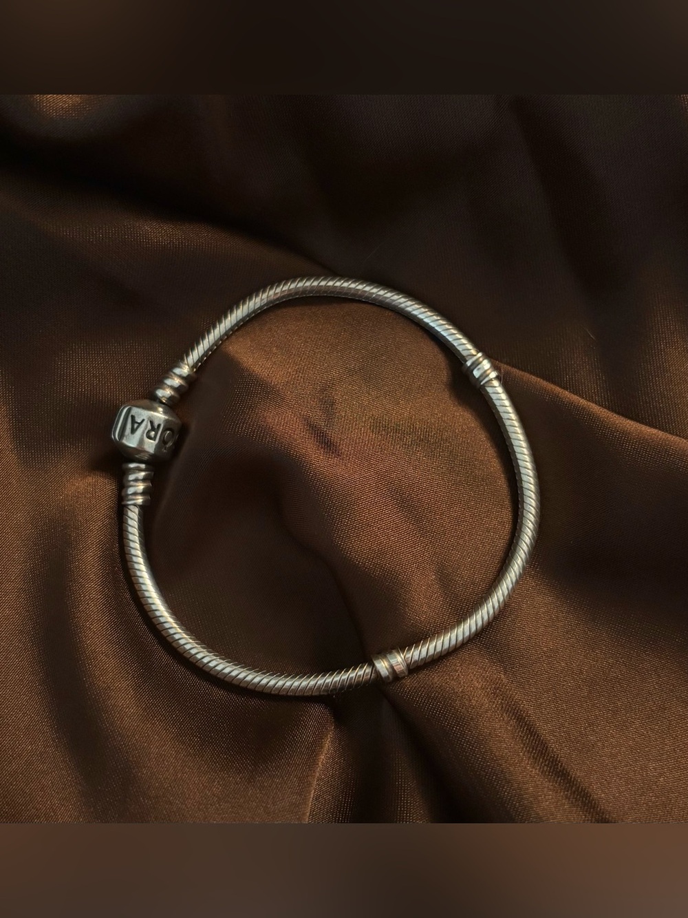 Pandora Charm Bracelet